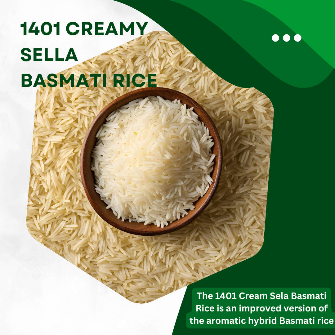 1401 cream Sella basmati rice 1