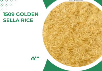 1509 Golden Sella Rice 009