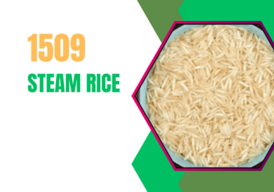 1509 steam rice 1