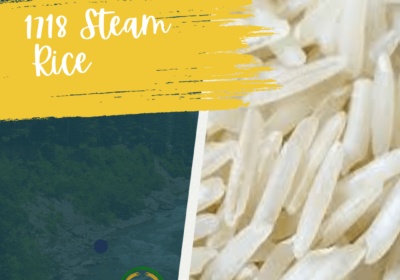 1718 Steam rice 009