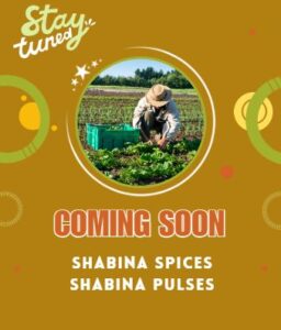 shabina foods -pulses & spices -launching soon