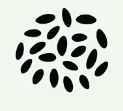 short grain rice _how long & what type 2 (Custom)